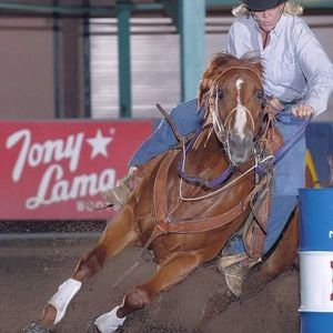 Meet your Posher, Beverly